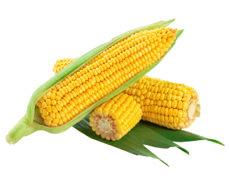 Lime Exim Industries Corn
