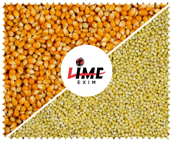 Welcome to Lime Exim