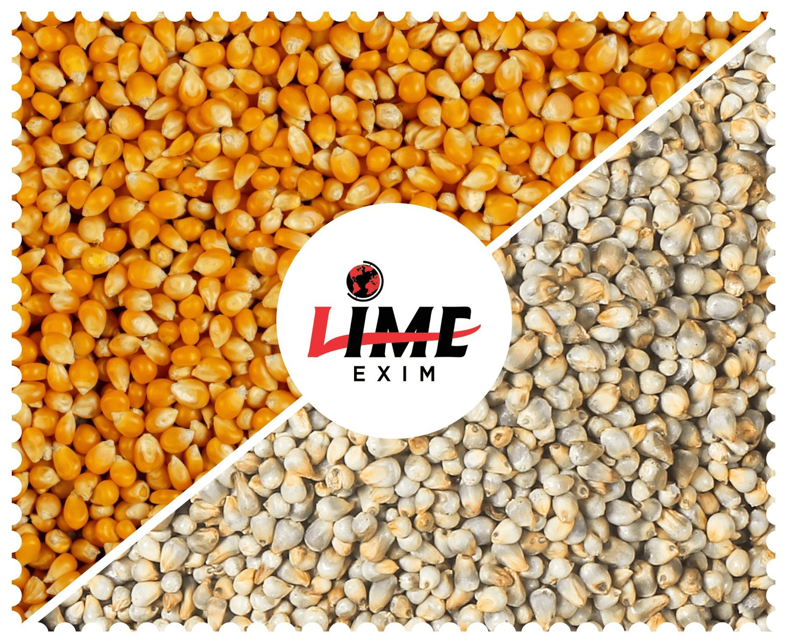 Welcome to Lime Exim